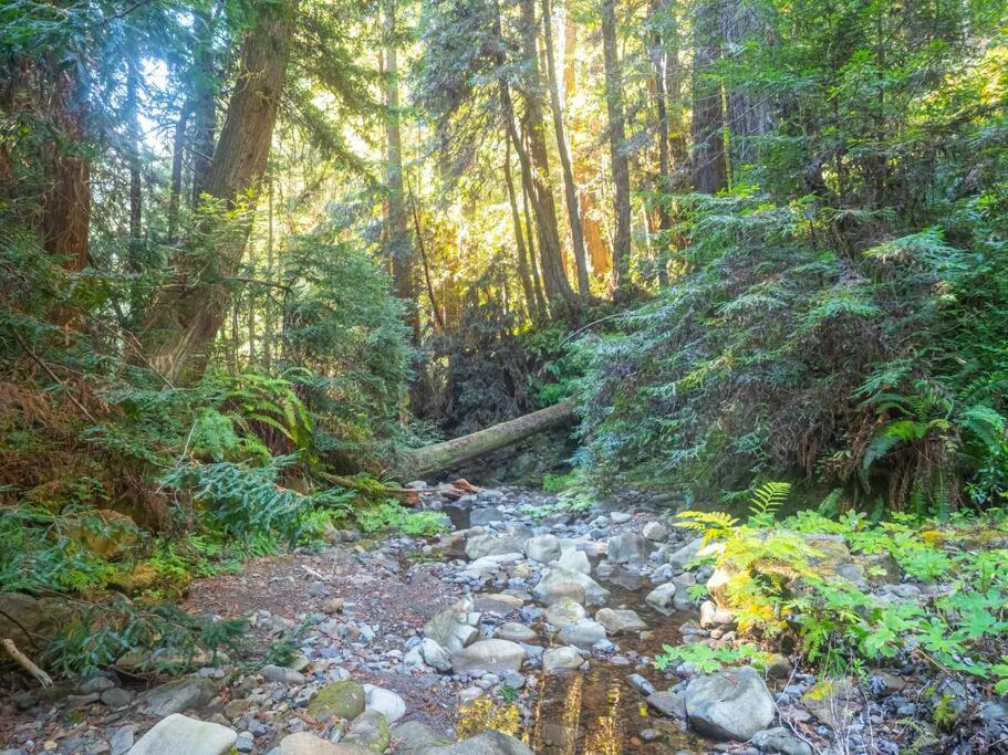 Driftwood Lodge ~ 5 Bedroom / 7 Bath ~ 30-Acre Private Estate On Hwy 1 ~ Hot Tub ~ Oceanview ~ Reunions & Retreats Walsh Landing Exterior photo